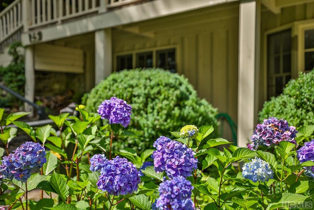 25 Martha's Lane