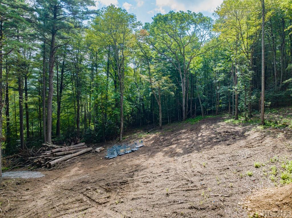 Lot 8 Pineland Drive