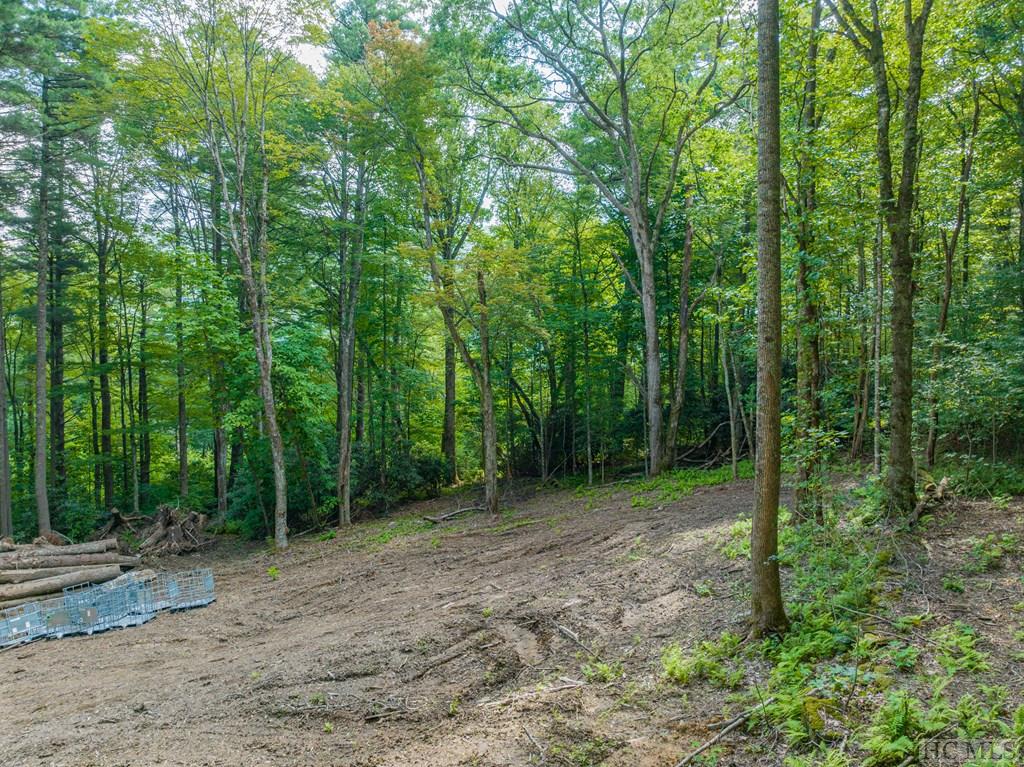 Lot 8 Pineland Drive