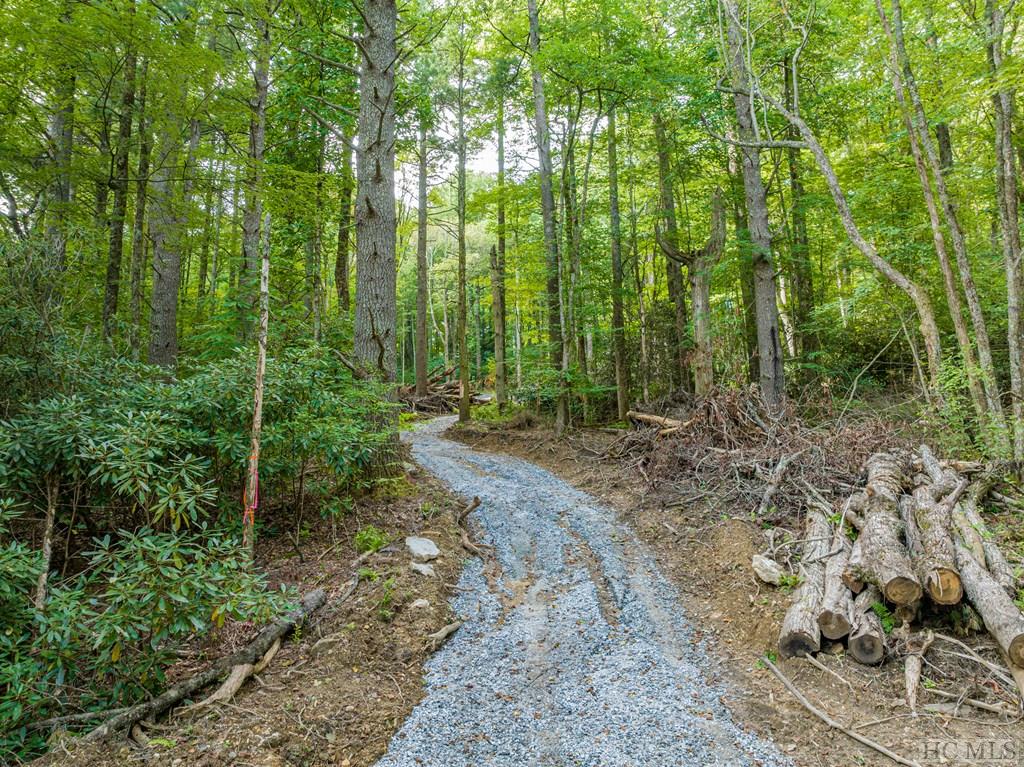 Lot 8 Pineland Drive