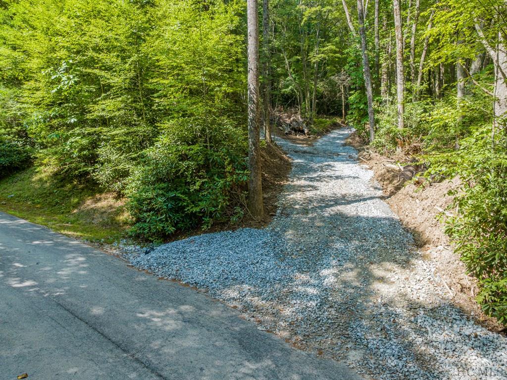 206 Pineland Drive