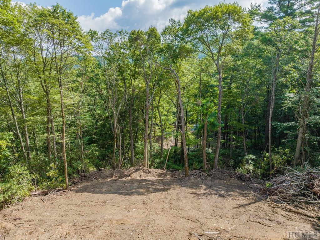 206 Pineland Drive