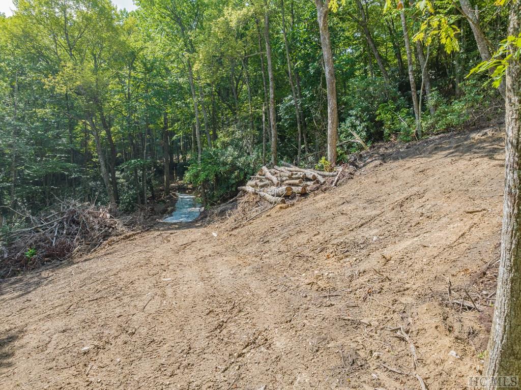 206 Pineland Drive