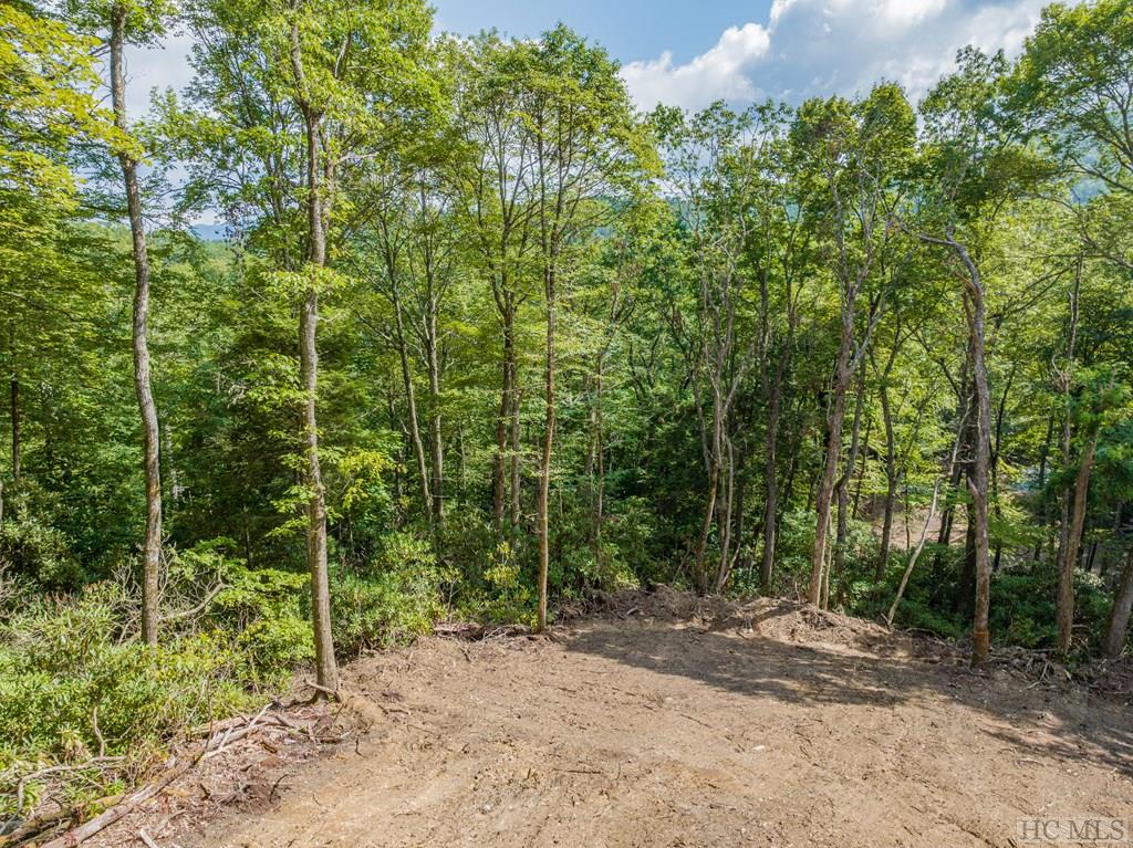 206 Pineland Drive