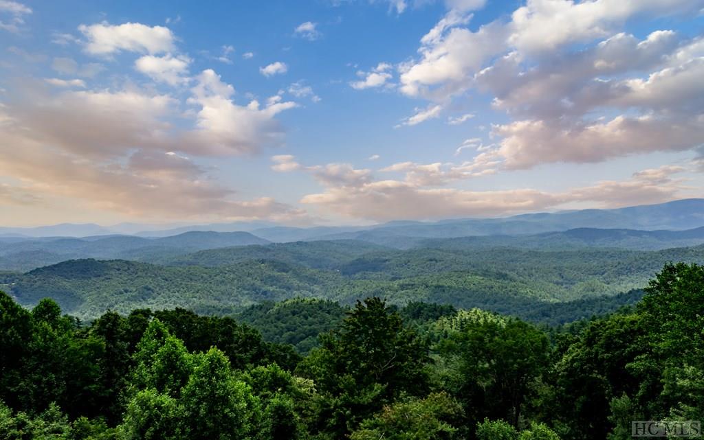 895 Brushy Face Road