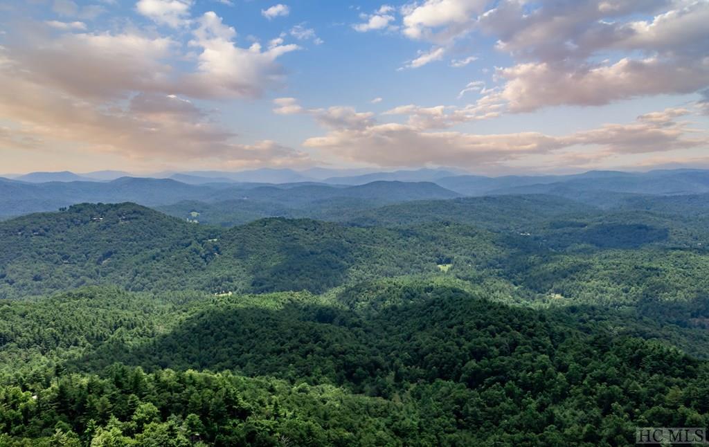 895 Brushy Face Road