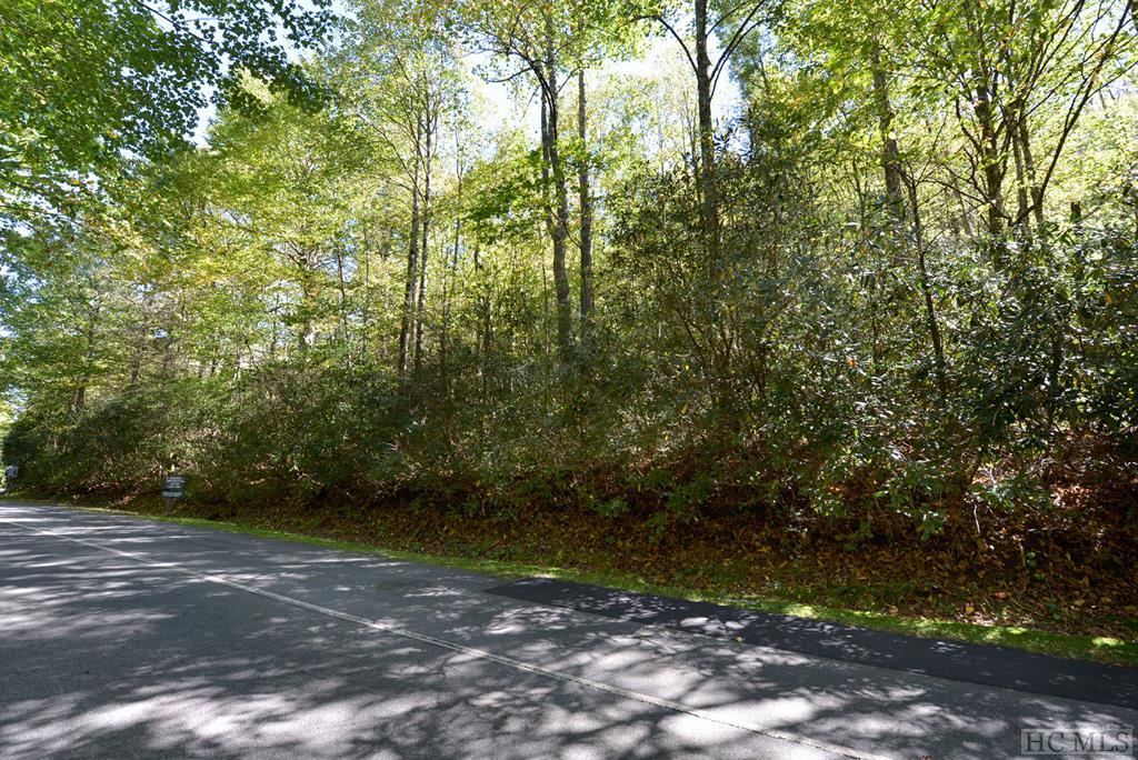 Lot #8 Falcon Ridge Road