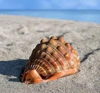 23450 Cam. Viejo A San Jose, Villa La Estancia