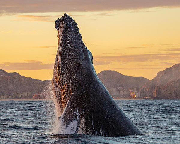 23450 Cam. Viejo A San Jose, Villa La Estancia