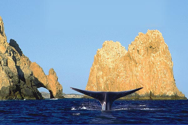 23450 Cam. Viejo A San Jose, Villa La Estancia