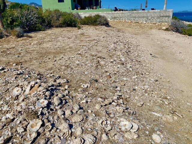 Lot 0739 s/n, El Cardonal Reef Beachfront