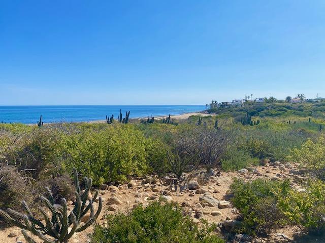 Lot 0739 s/n, El Cardonal Reef Beachfront