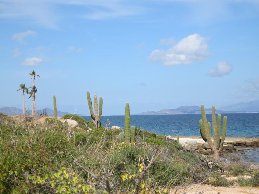 Lot 0739 s/n, El Cardonal Reef Beachfront