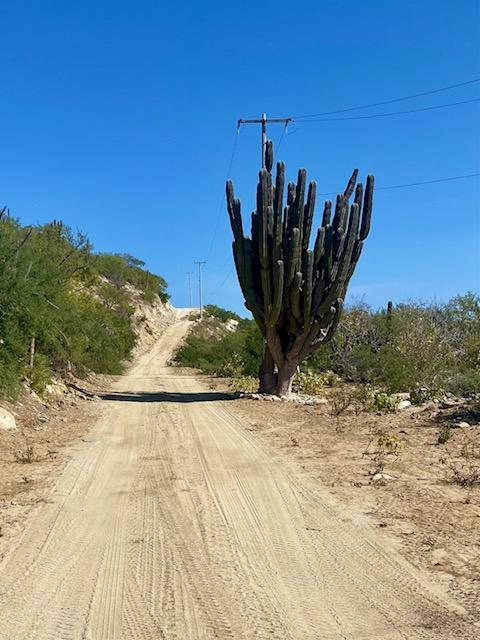 Lot 0739 s/n, El Cardonal Reef Beachfront