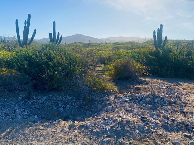 Lot 0739 s/n, El Cardonal Reef Beachfront