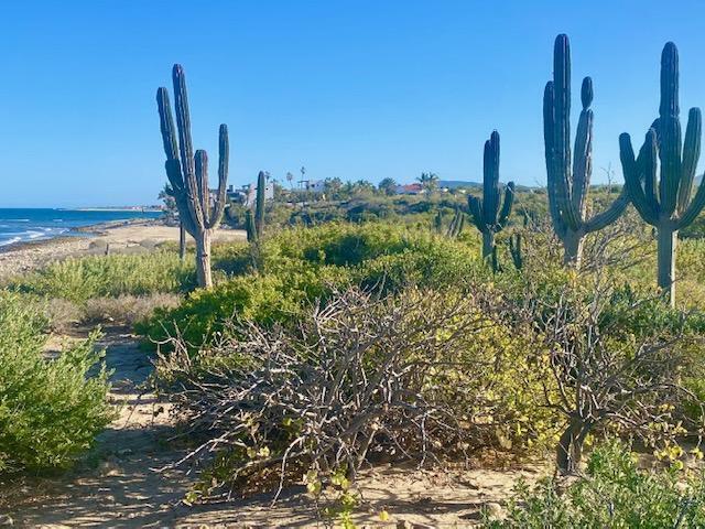 Lot 0739 s/n, El Cardonal Reef Beachfront