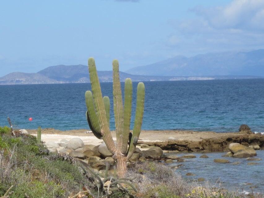 Lot 0739 s/n, El Cardonal Reef Beachfront