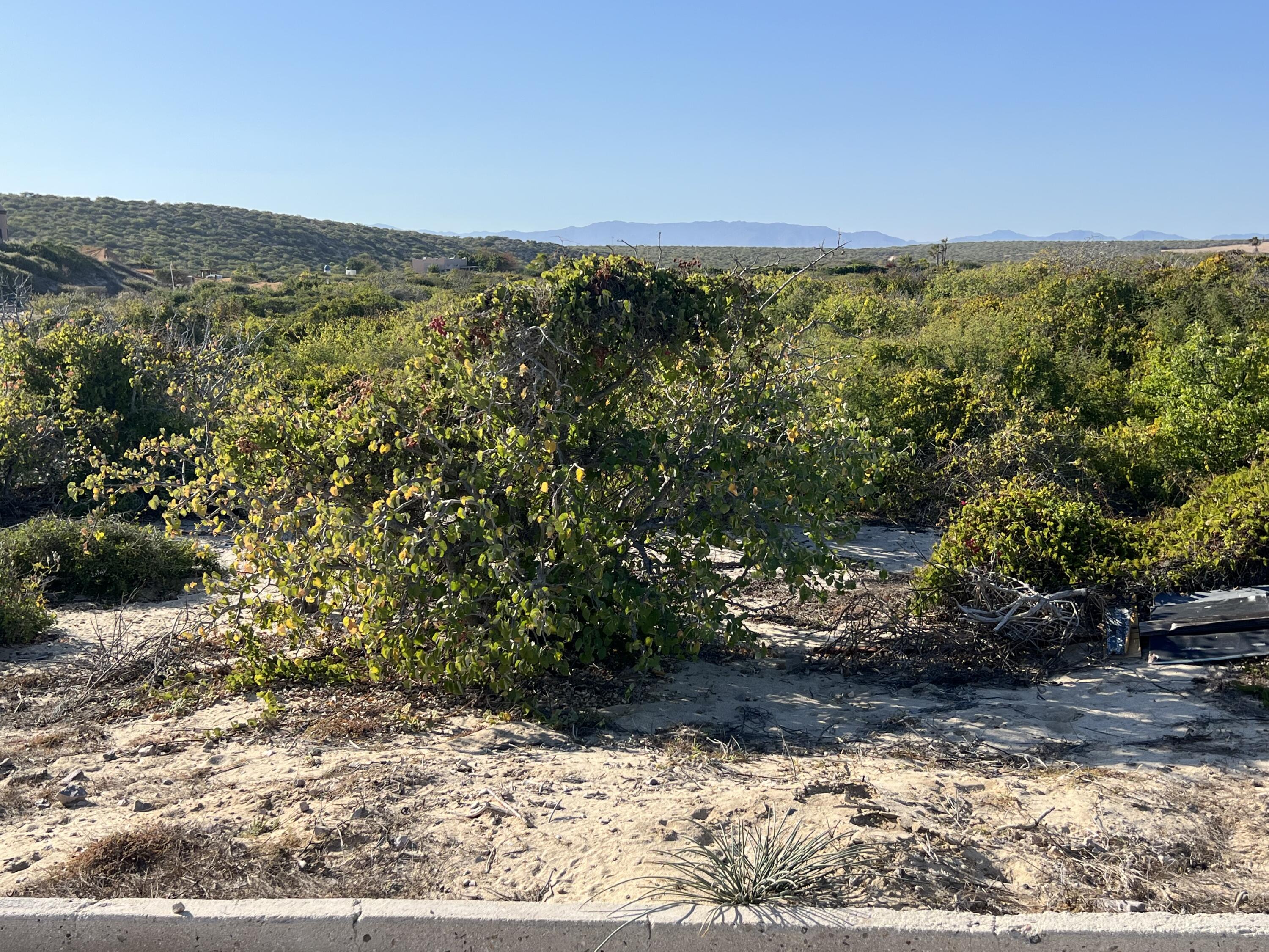 B-04 Lighthouse Point Estates, Light the Way