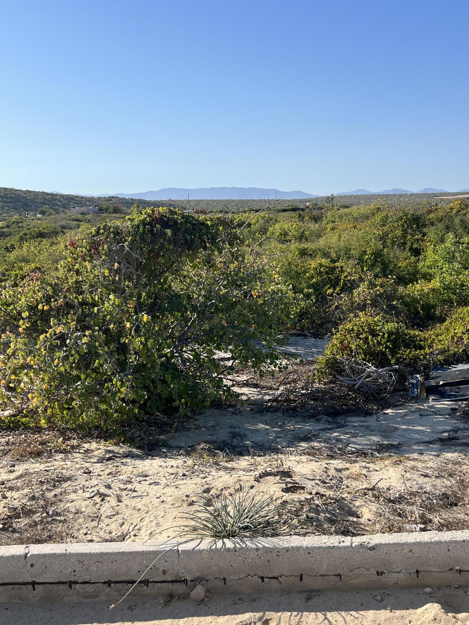 B-04 Lighthouse Point Estates, Light the Way