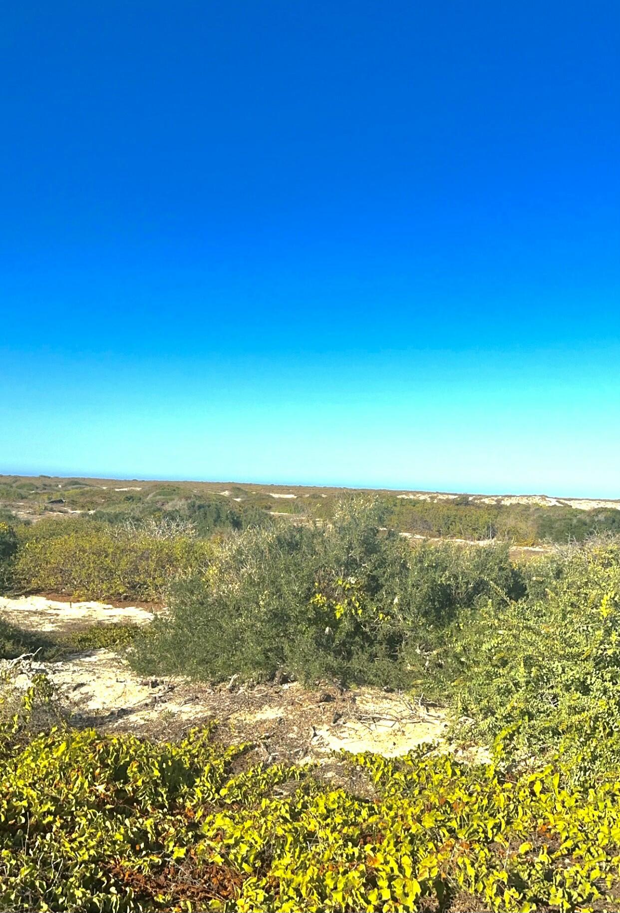 C132&C133 Lighthouse Point Estates, Ocean Dreams