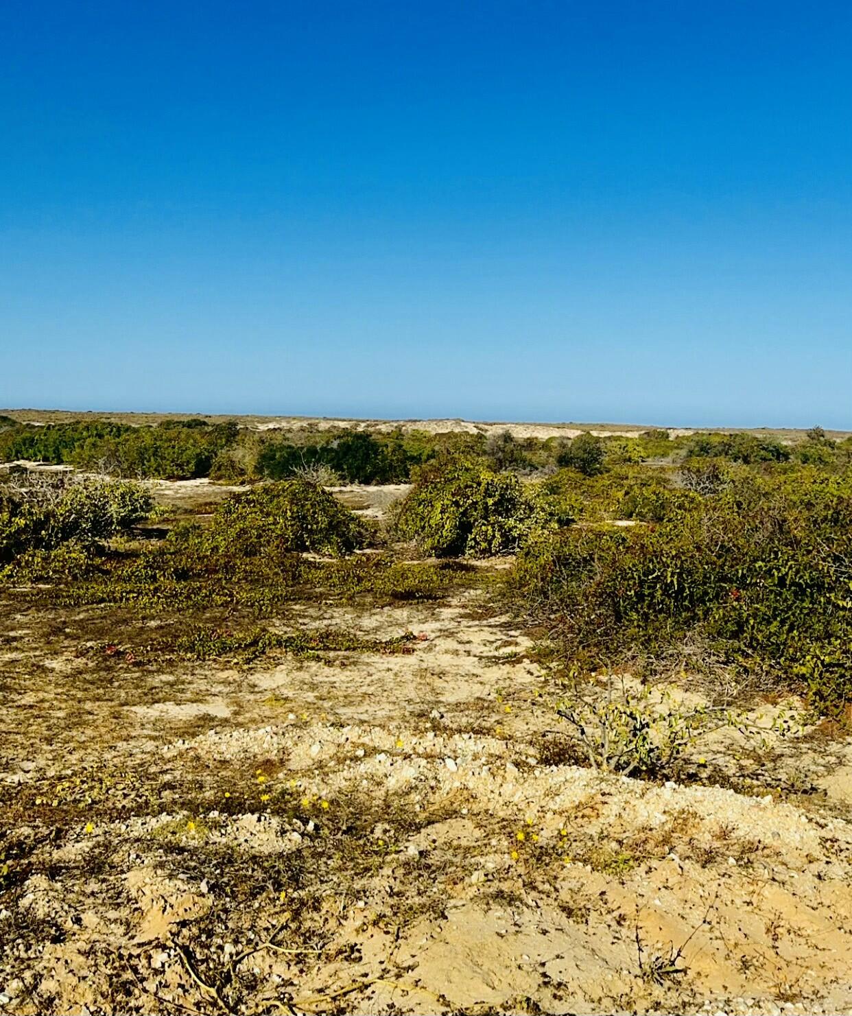 C132&C133 Lighthouse Point Estates, Ocean Dreams