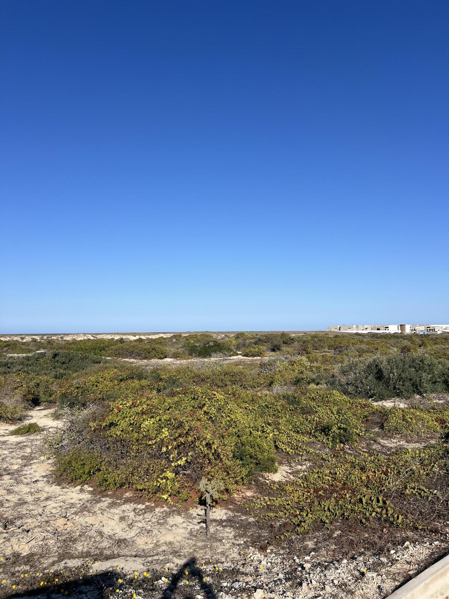 C132&C133 Lighthouse Point Estates, Ocean Dreams