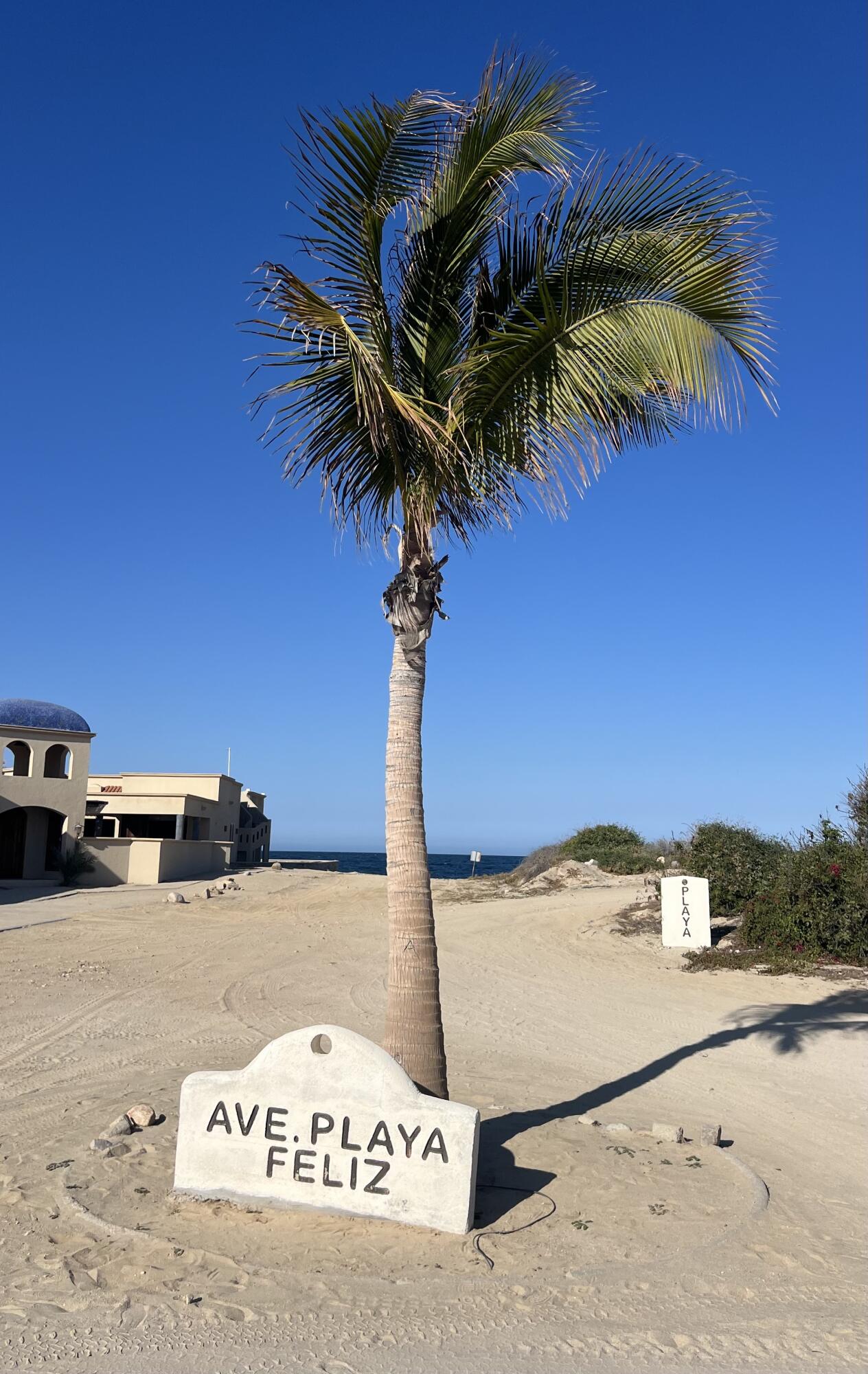 C132&C133 Lighthouse Point Estates, Ocean Dreams