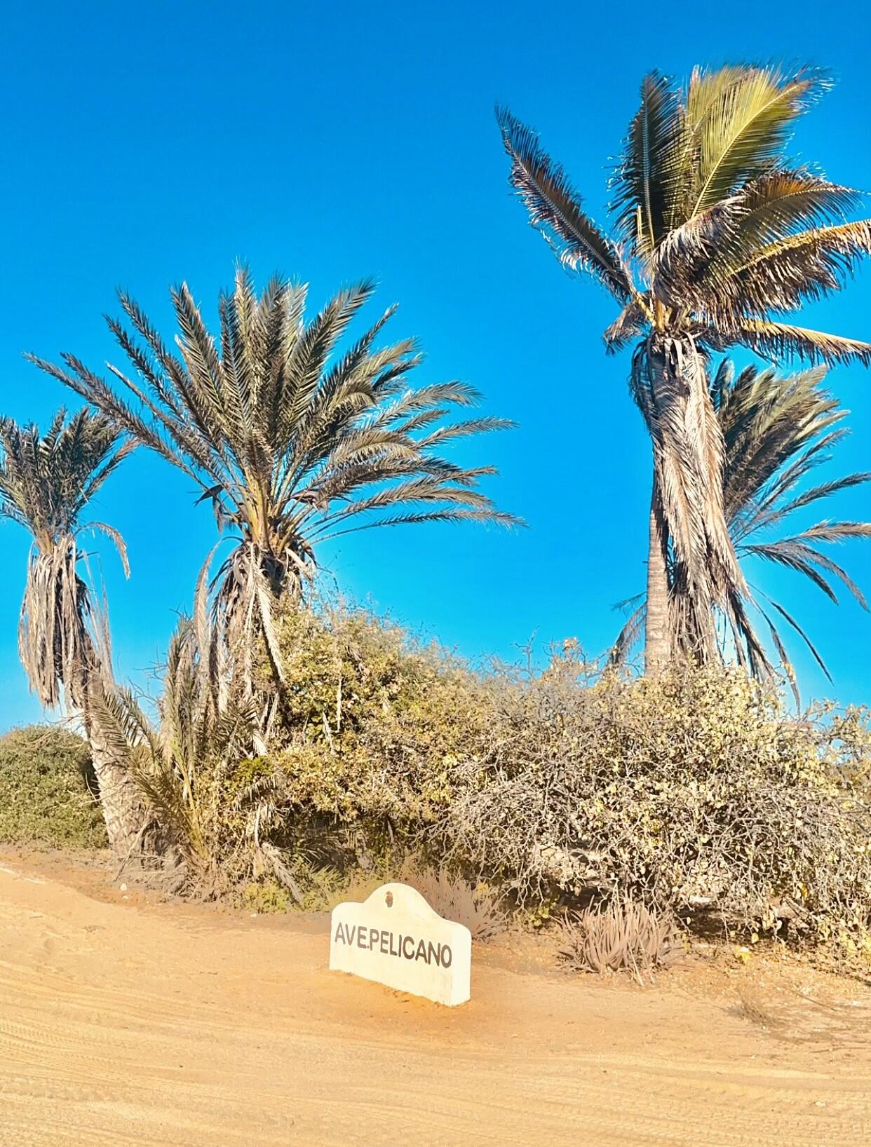C132&C133 Lighthouse Point Estates, Ocean Dreams