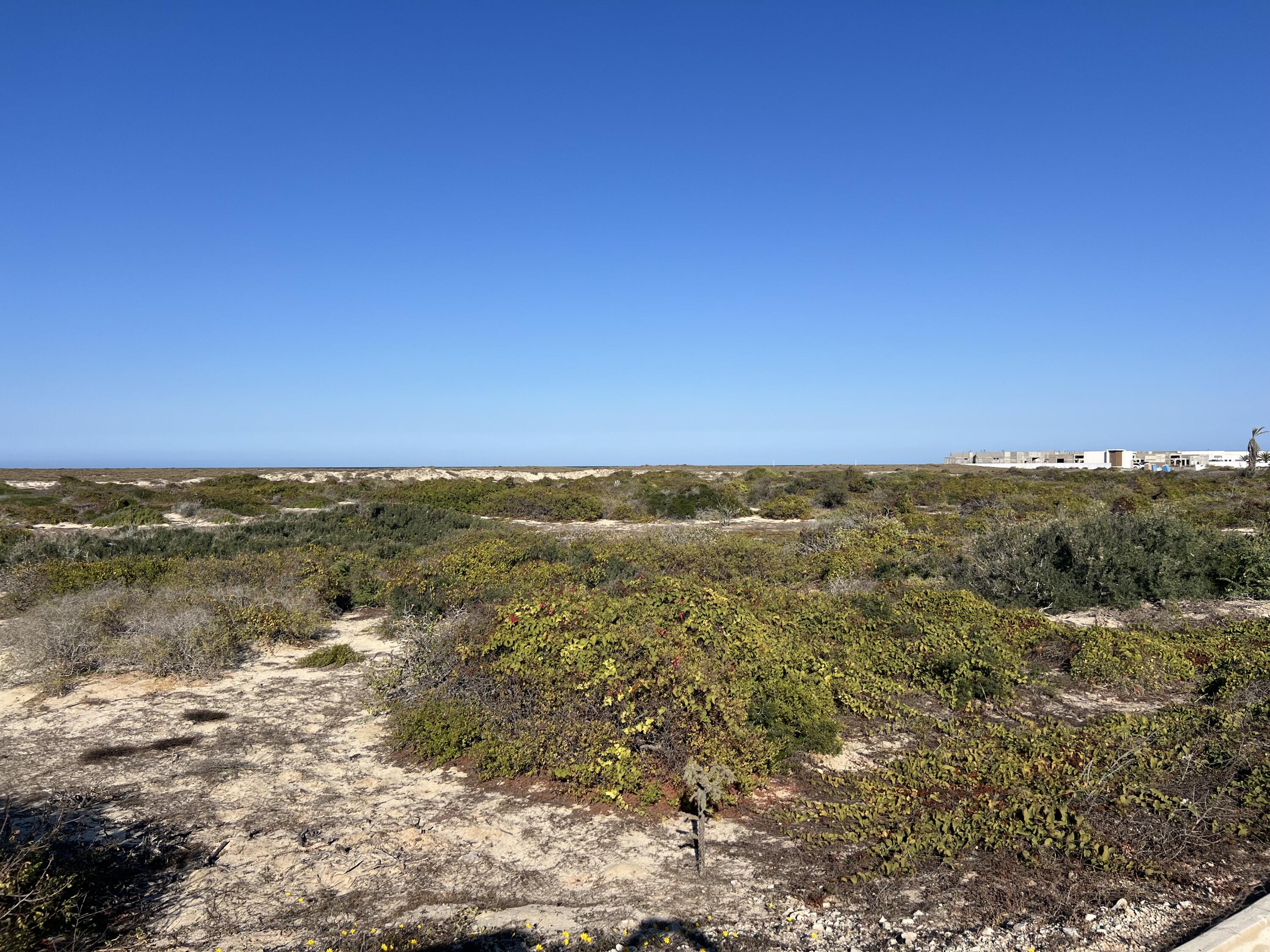 C132&C133 Lighthouse Point Estates, Ocean Dreams