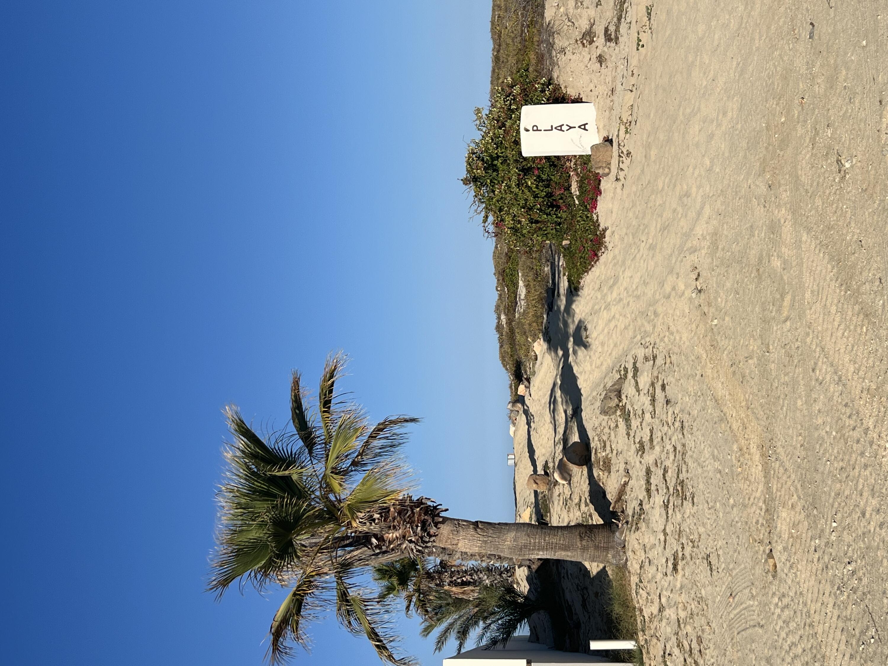 C132&C133 Lighthouse Point Estates, Ocean Dreams