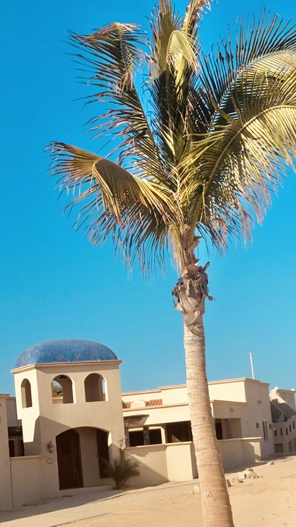 C132&C133 Lighthouse Point Estates, Ocean Dreams