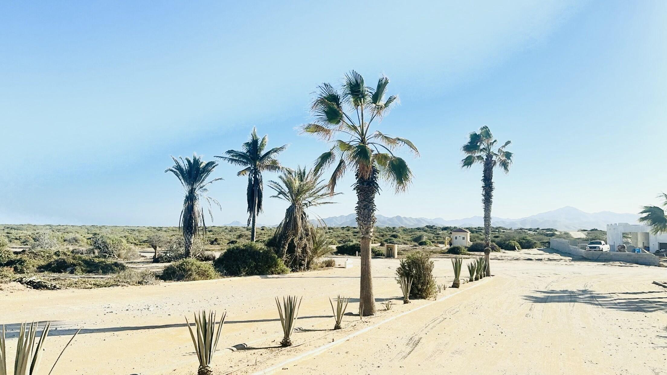 C132&C133 Lighthouse Point Estates, Ocean Dreams
