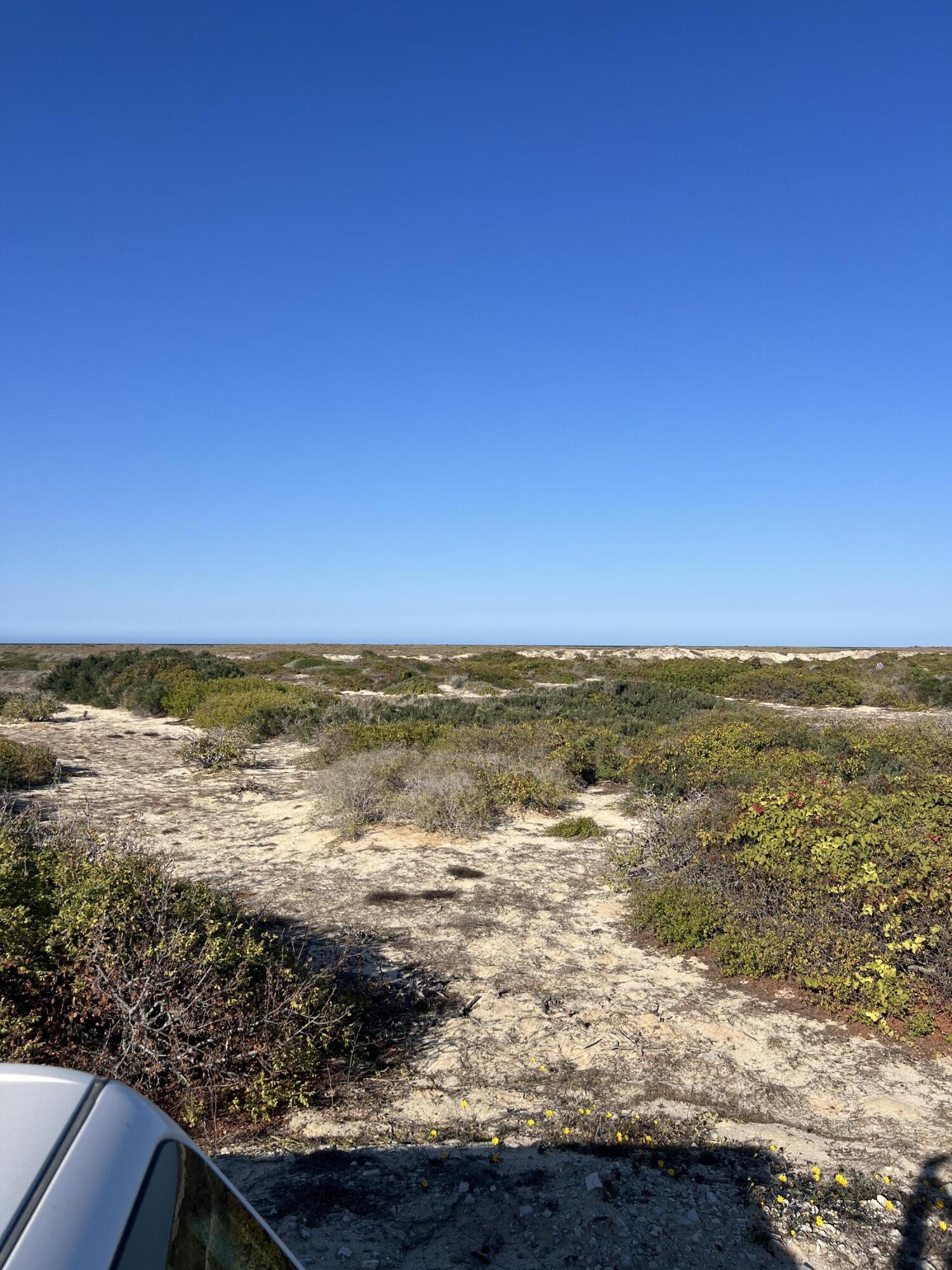 C132&C133 Lighthouse Point Estates, Ocean Dreams