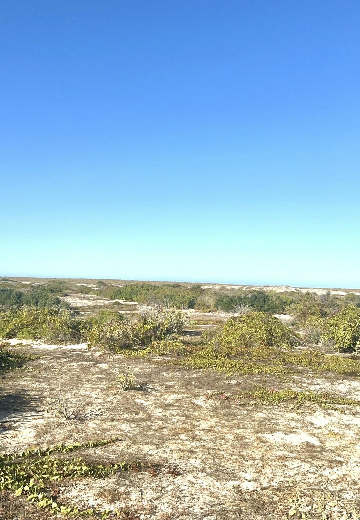 C132&C133 Lighthouse Point Estates, Ocean Dreams