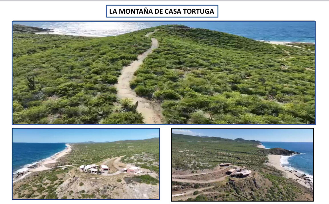 BEACHFRONT Casa Tortuga