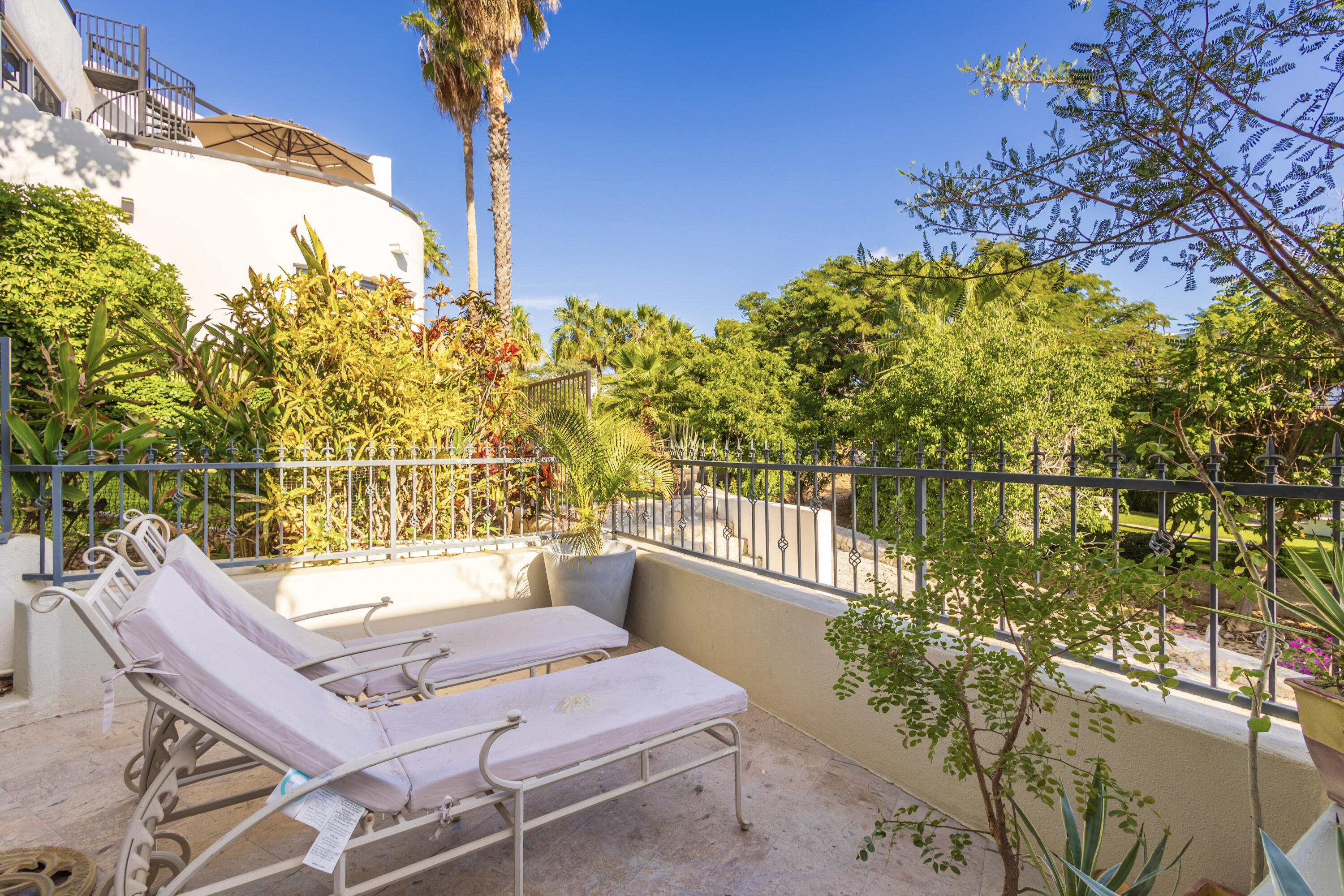 49K Santa Carmela, Casa Caniche