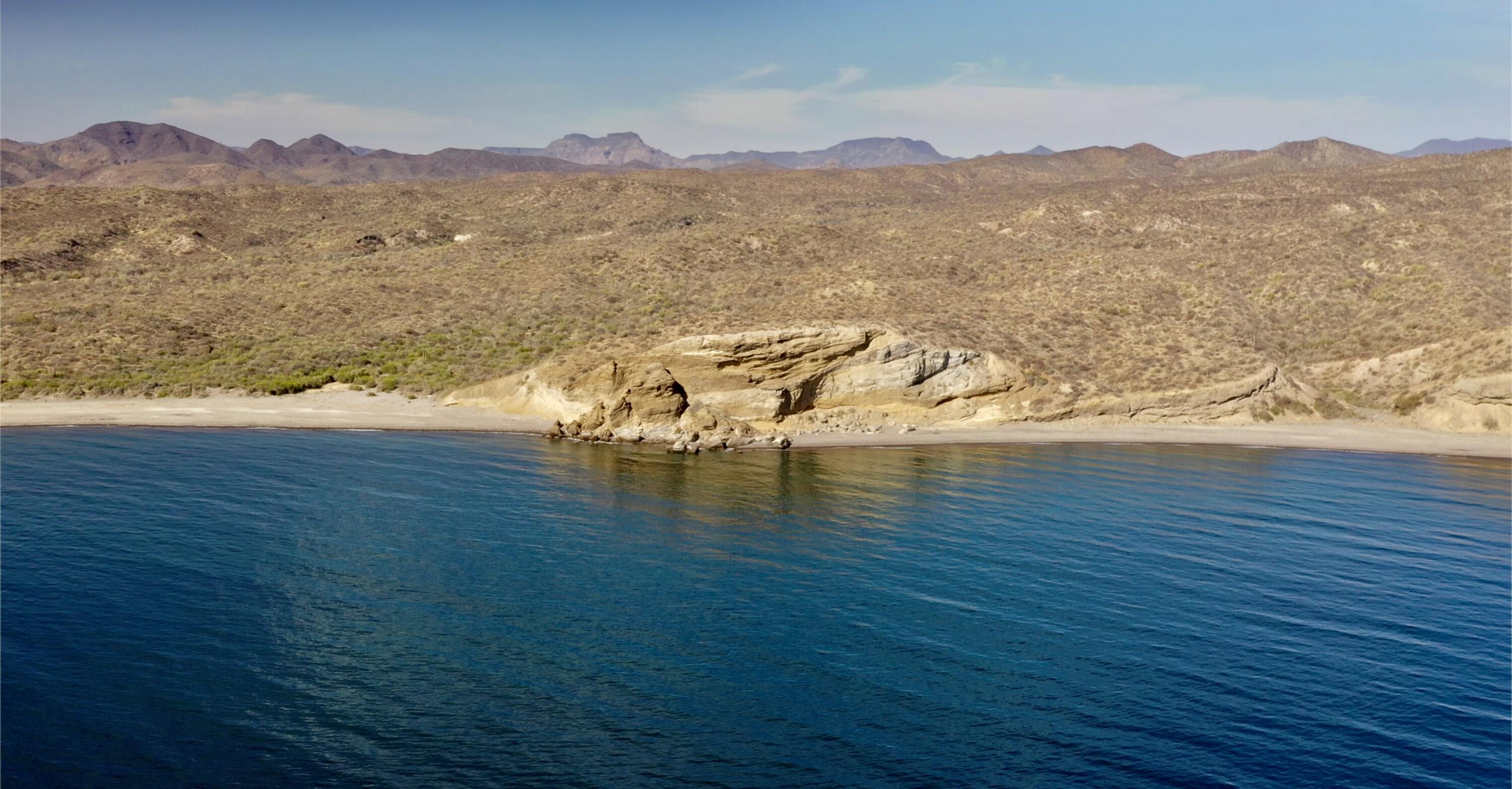 Gulf of San Juanico