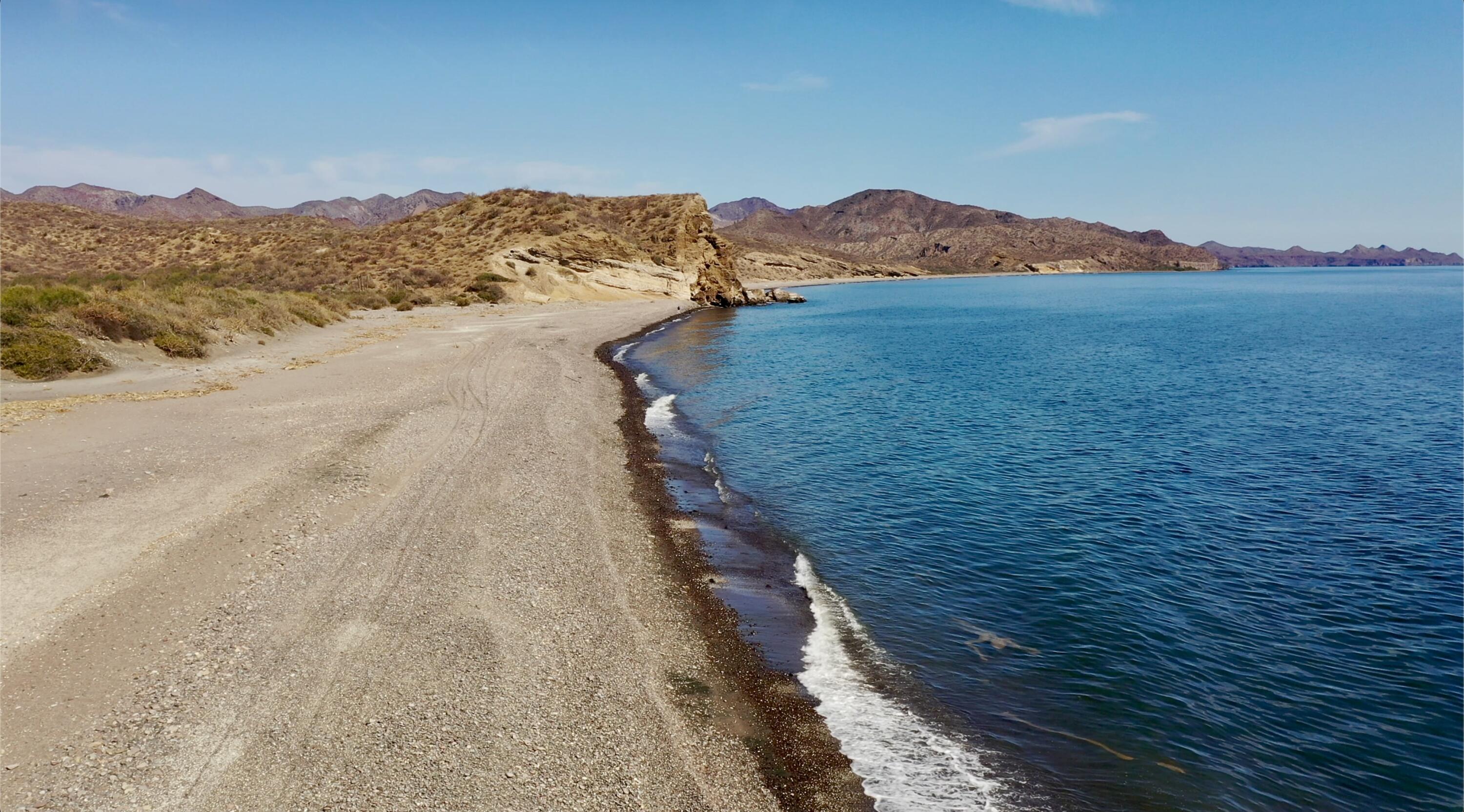 Gulf of San Juanico