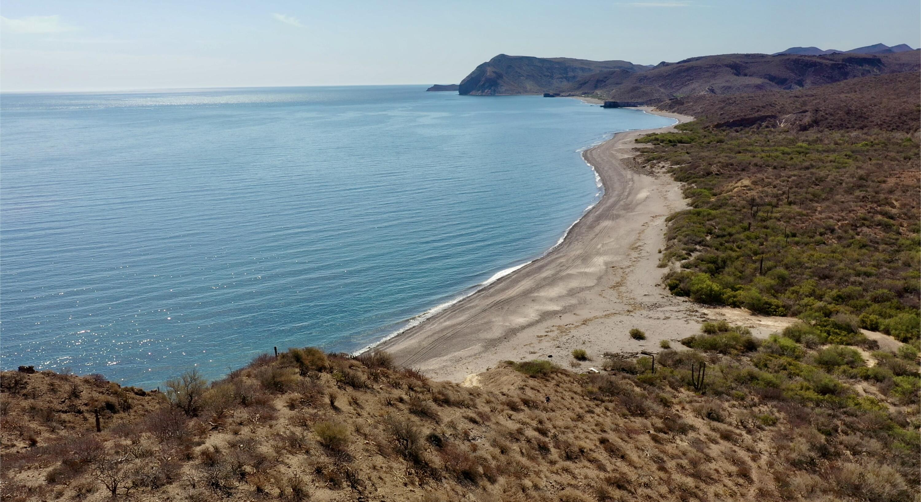 Gulf of San Juanico
