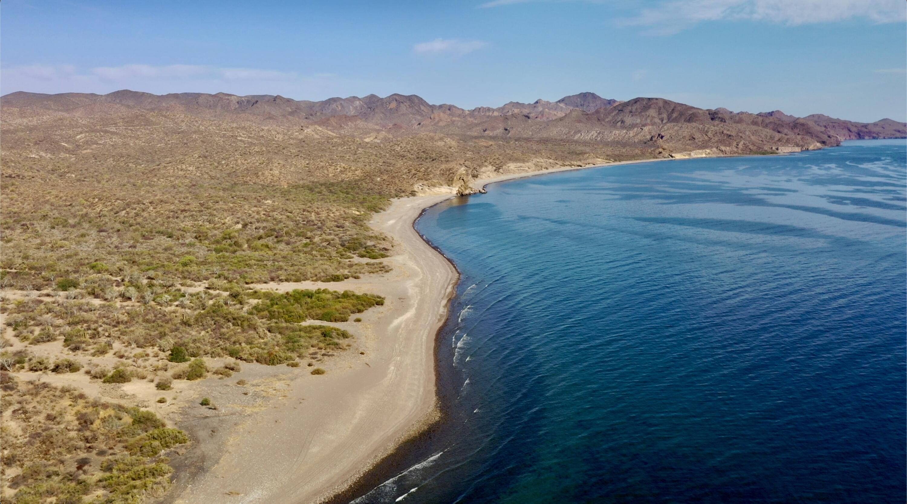 Gulf of San Juanico
