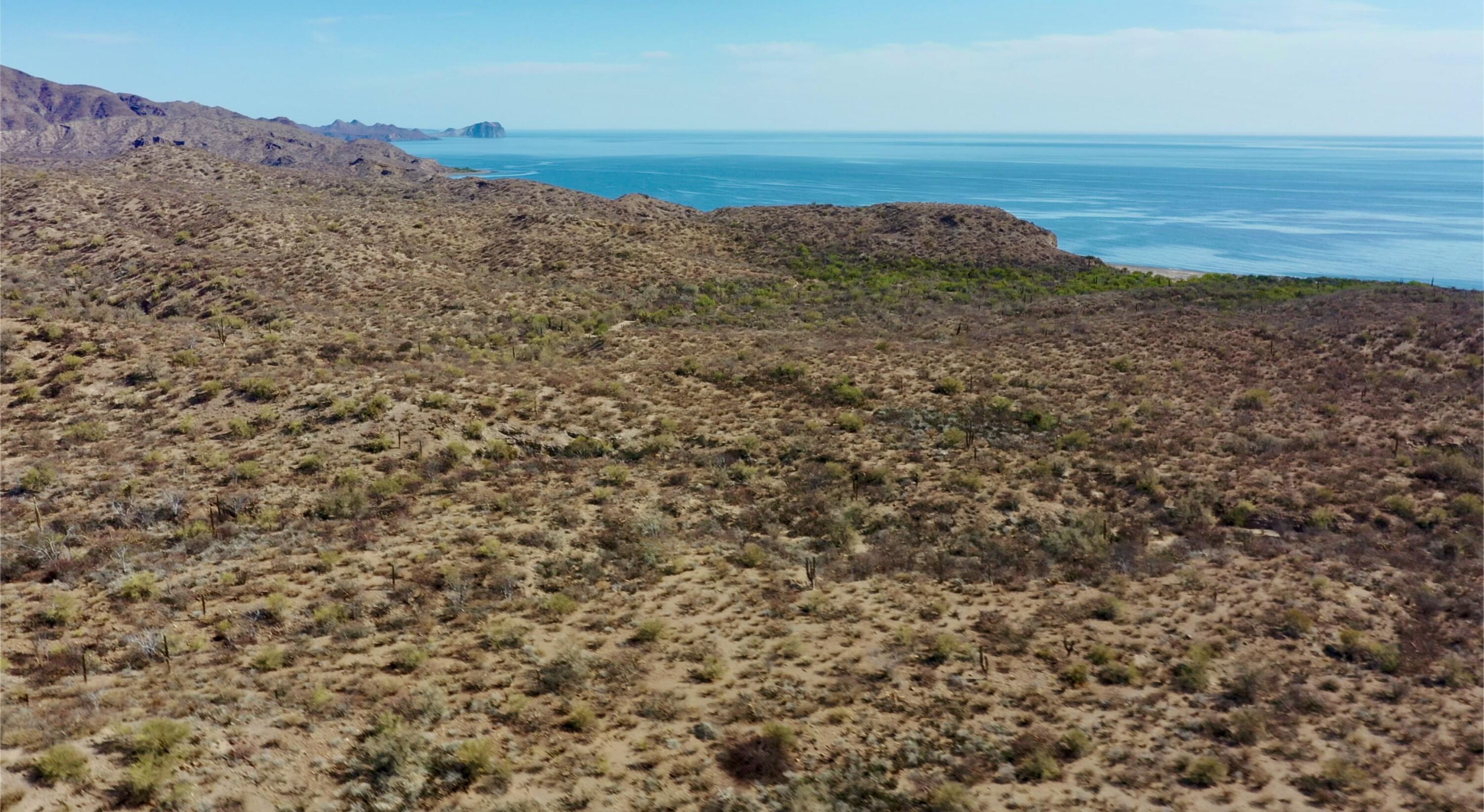 Gulf of San Juanico