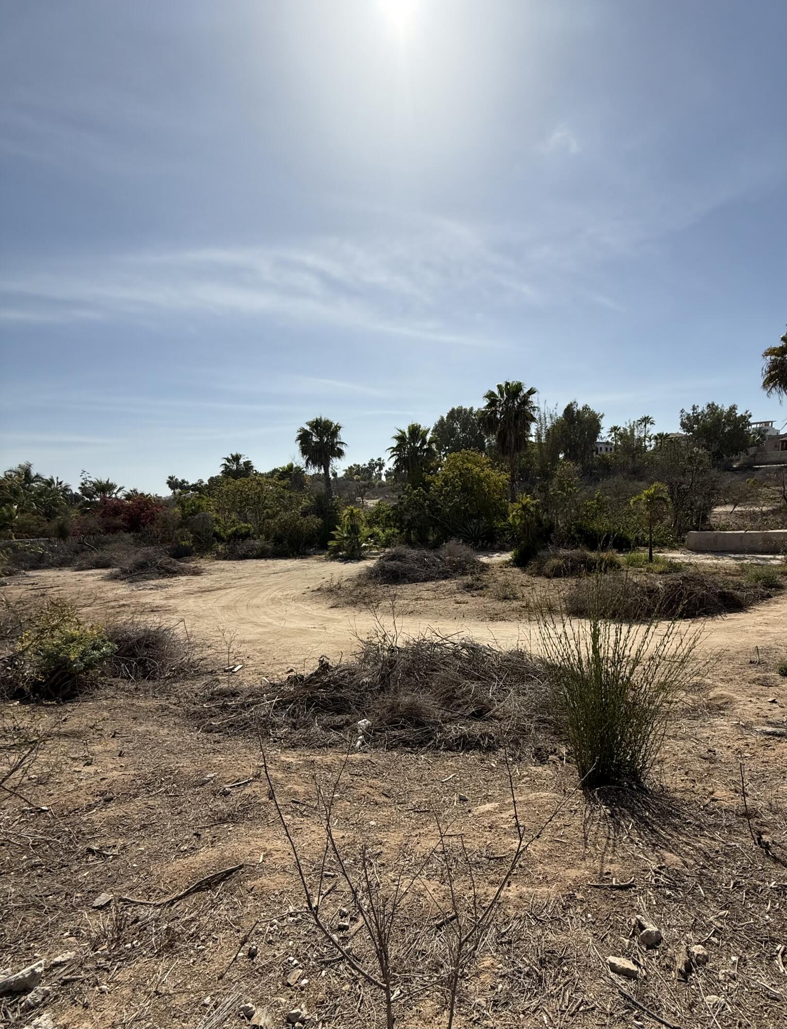 Lot 166 Camino Guayparin, Drea