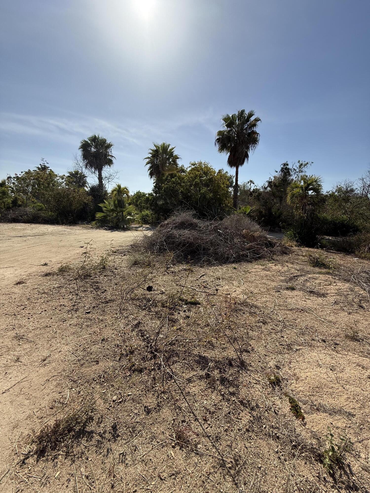 Lot 166 Camino Guayparin, Drea