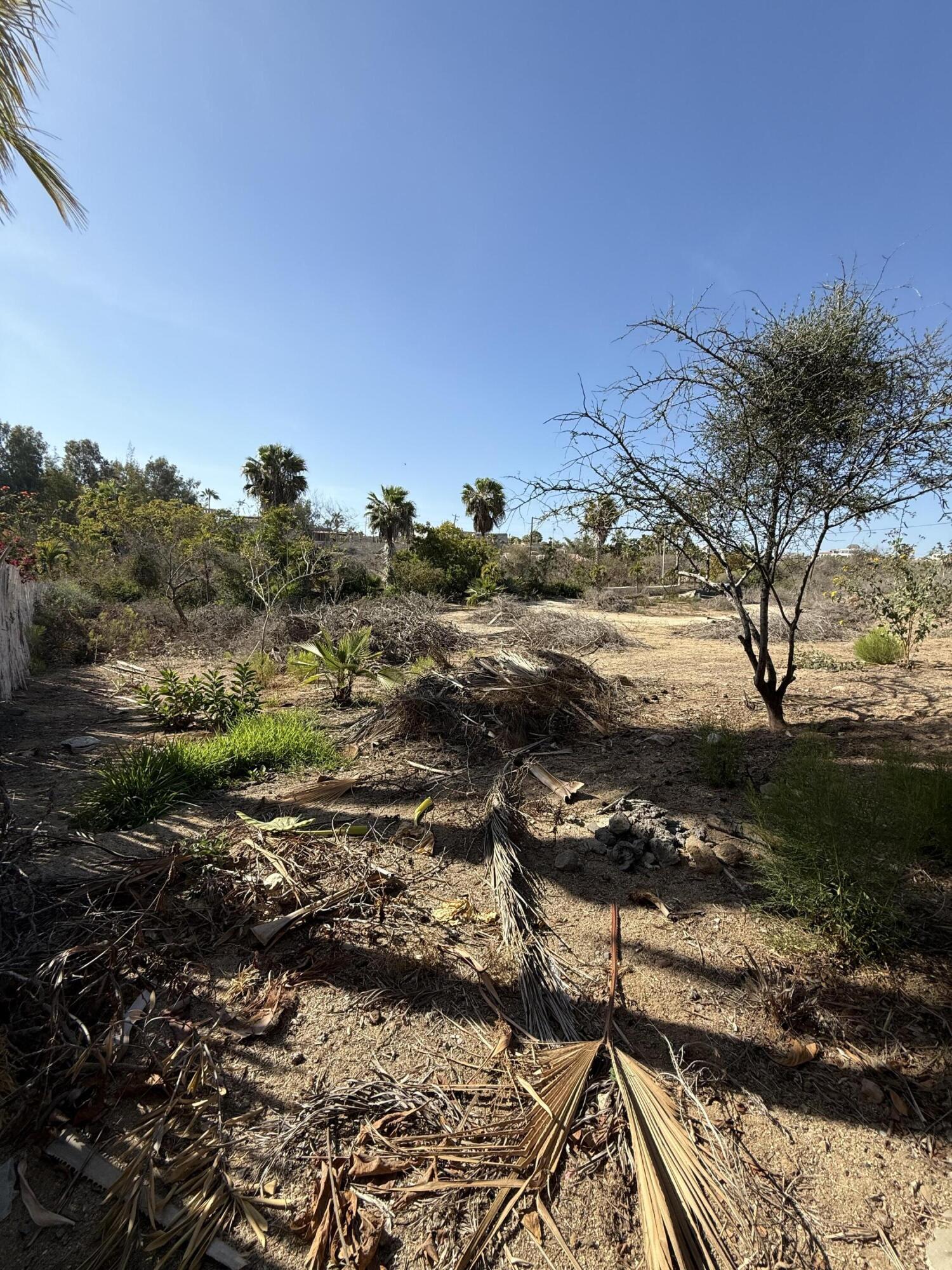 Lot 166 Camino Guayparin, Drea