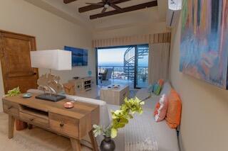 Copala Penthouse, Casa Vista