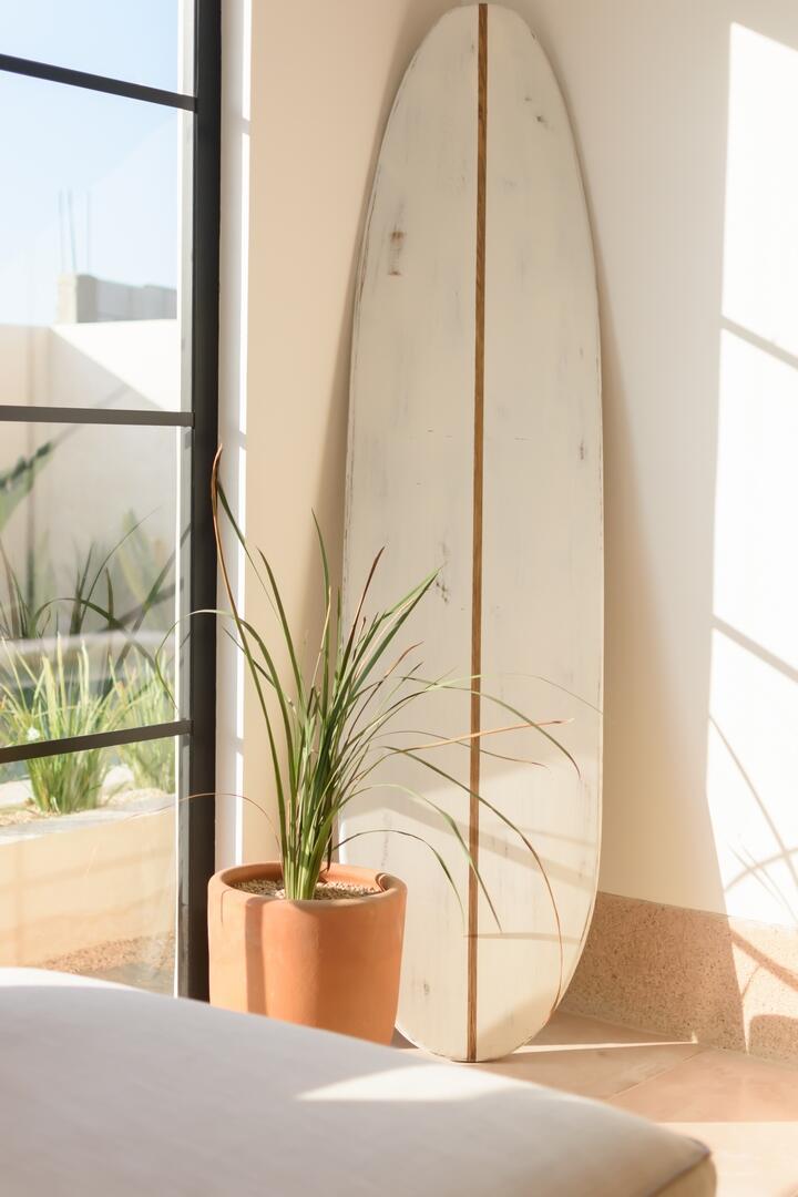 Nuevo Todos Santos 50, Pacific