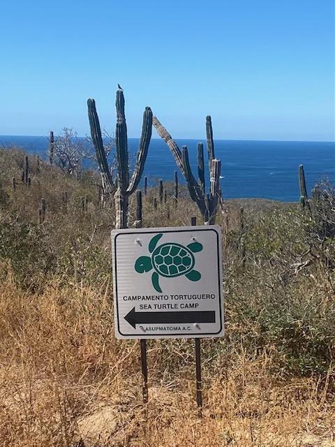 Lots 4,5,6,11,12 Block 6, Rolling Hills Summit Condo Lot