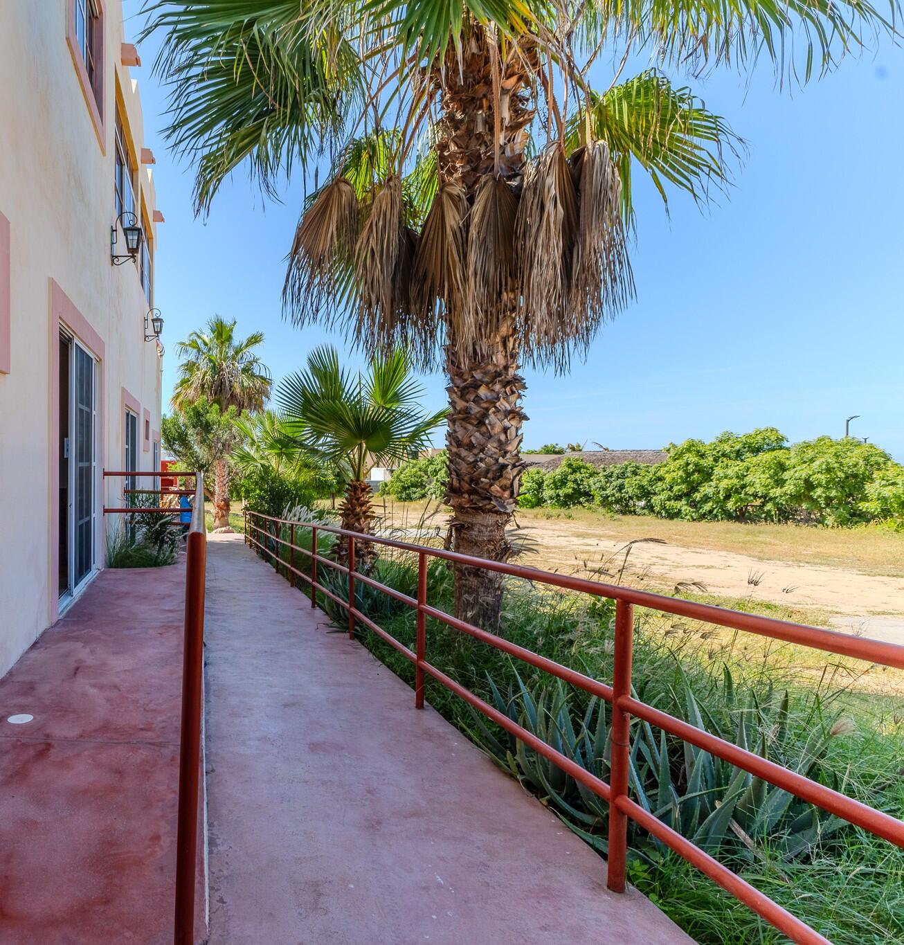 House of Dancing Butterflies