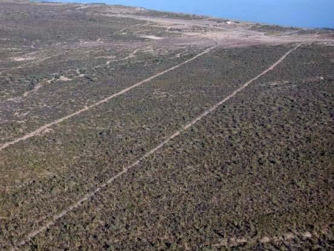 El Jaral Development Land