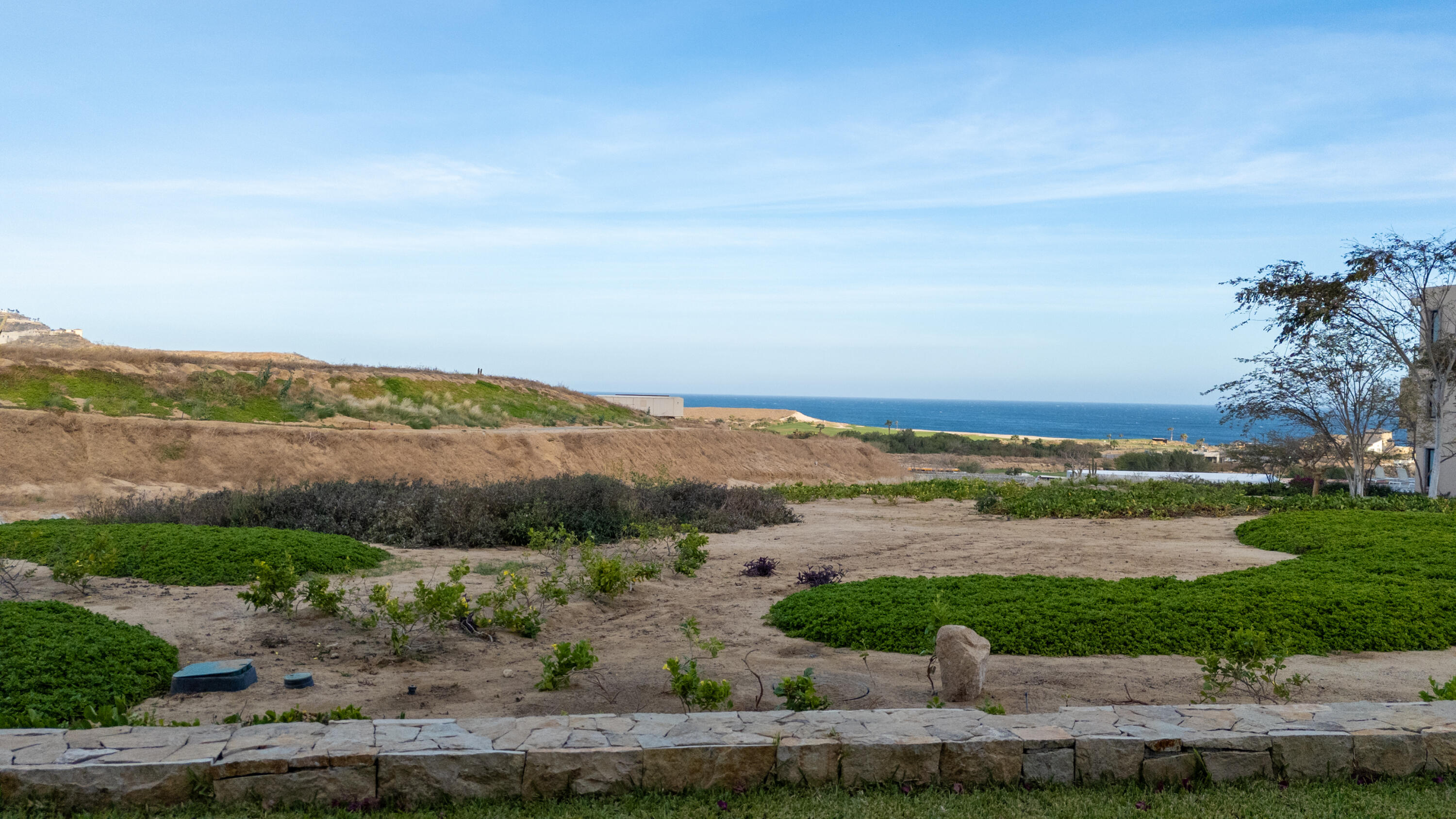 Alvar at Quivira